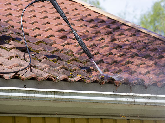 Nettoyage demoussage de toiture 17